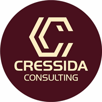 CRESSIDA CONSULTING LTD