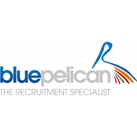 Blue Pelican Group