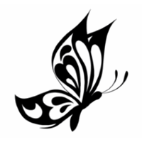 Chrysalis Talent Solutions Limited